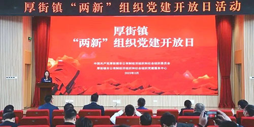 聚焦高质量|必赢亚洲园林党支部获先进“两新”组织党组织