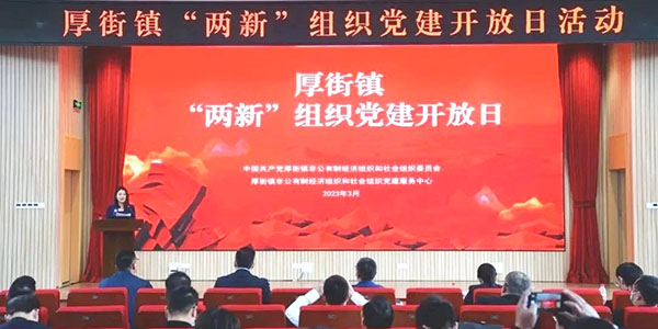 聚焦高质量|必赢亚洲园林党支部获先进“两新”组织党组织